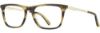 Picture of Alan J Eyeglasses AJ-164