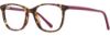 Picture of Adin Thomas Eyeglasses AT-524