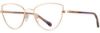 Picture of Alan J Eyeglasses AJ-510