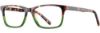 Picture of Michael Ryen Eyeglasses MR-378