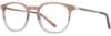 Picture of Adin Thomas Eyeglasses AT-538