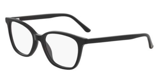 Picture of Lenton & Rusby Eyeglasses LR5005