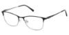 Picture of Alexander Collection Eyeglasses Hazel