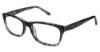 Picture of Alexander Collection Eyeglasses Paisley