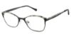 Picture of Alexander Collection Eyeglasses Roni