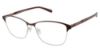 Picture of Alexander Collection Eyeglasses Shea