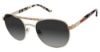 Picture of Jimmy Crystal New York Sunglasses Jcs129