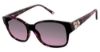 Picture of Jimmy Crystal New York Sunglasses Jcs300