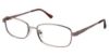 Picture of New Globe Eyeglasses L5162