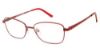 Picture of New Globe Eyeglasses L5172-P