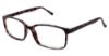 Picture of New Globe Eyeglasses M424