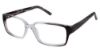 Picture of New Globe Eyeglasses M428