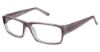Picture of New Globe Eyeglasses M430