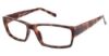 Picture of New Globe Eyeglasses M430