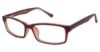Picture of New Globe Eyeglasses M431-P