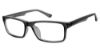 Picture of New Globe Eyeglasses M434