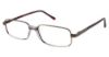 Picture of New Globe Eyeglasses M552-P