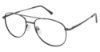 Picture of New Globe Eyeglasses M573