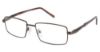 Picture of New Globe Eyeglasses M574-P