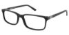 Picture of Xxl Eyewear Eyeglasses Terrapin
