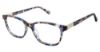Picture of Alexander Collection Eyeglasses Presley