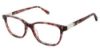 Picture of Alexander Collection Eyeglasses Presley