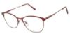 Picture of New Globe Eyeglasses L5176-P