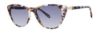 Picture of Lilly Pulitzer Sunglasses CAPRI