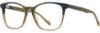 Picture of Scott Harris Eyeglasses SH-814
