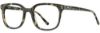 Picture of Cinzia Eyeglasses CIN-5141