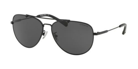 Picture of Coach Sunglasses HC7087