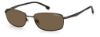 Picture of Carrera Sunglasses 8043/S
