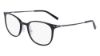 Picture of Flexon Eyeglasses EP8002