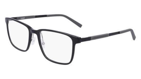 Picture of Flexon Eyeglasses EP8004