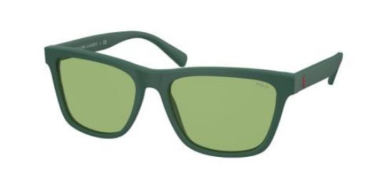 Picture of Polo Sunglasses PH4167