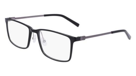 Picture of Flexon Eyeglasses EP8009