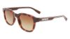 Picture of Lacoste Sunglasses L966S