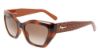 Picture of Salvatore Ferragamo Sunglasses SF1043S