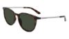 Picture of Dragon Sunglasses DR BILLIE LL