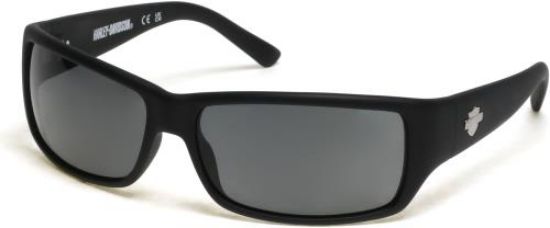 Picture of Harley Davidson Sunglasses HD0860X