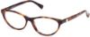Picture of Max Mara Eyeglasses MM5025