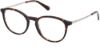 Picture of Gant Eyeglasses GA3259
