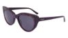 Picture of Bebe Sunglasses BB7242