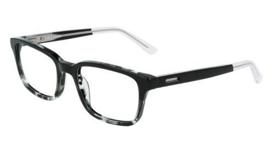 Picture of Cole Haan Eyeglasses CH4049