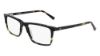 Picture of Joseph Abboud Eyeglasses JA4089