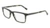 Picture of Joseph Abboud Eyeglasses JA4089