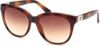 Picture of Guess Sunglasses GU7850