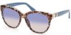 Picture of Guess Sunglasses GU7850