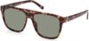 Picture of Guess Sunglasses GU00056