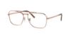 Picture of Ray Ban Eyeglasses RX3636V